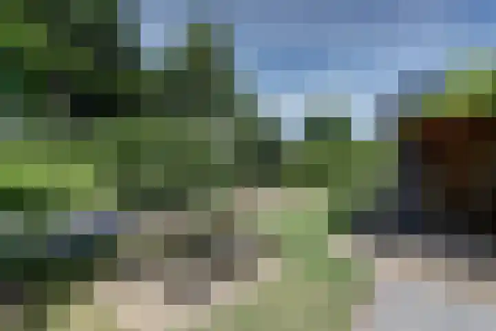 weg van Rollecate 23 Vollenhove thumbnail 41