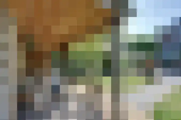 weg van Rollecate 23 Vollenhove thumbnail 42