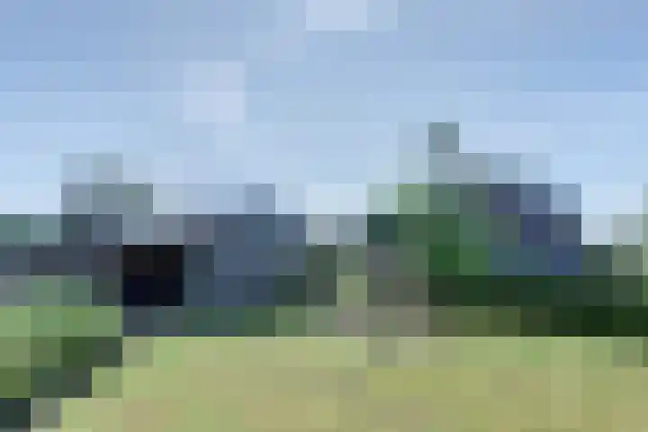 weg van Rollecate 23 Vollenhove thumbnail 43