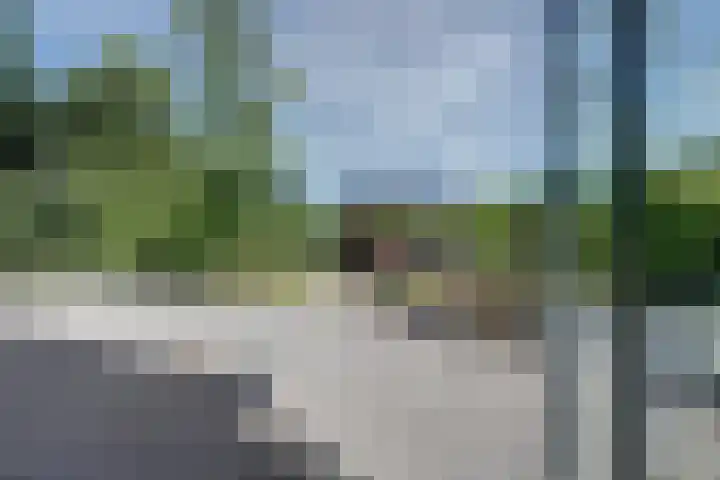weg van Rollecate 23 Vollenhove thumbnail 44