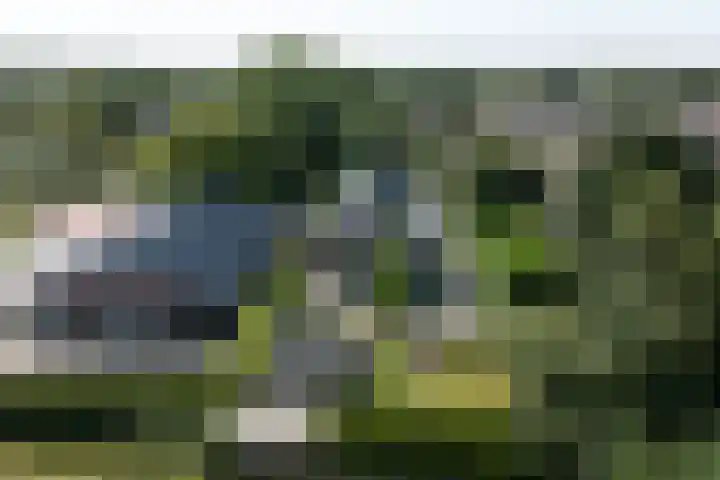 weg van Rollecate 23 Vollenhove thumbnail 47