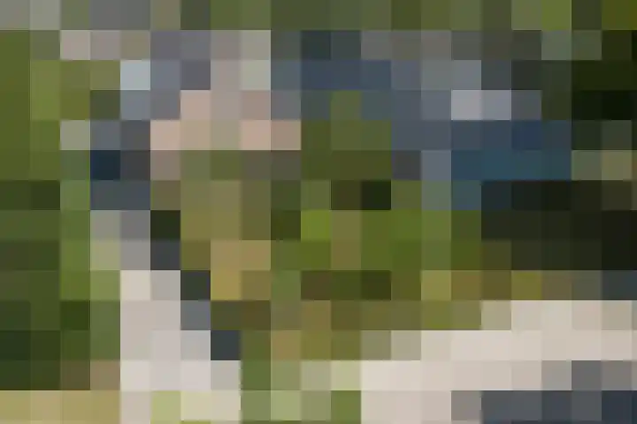weg van Rollecate 23 Vollenhove thumbnail 48