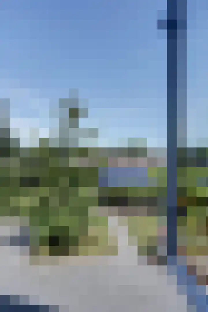 weg van Rollecate 23 Vollenhove thumbnail 49