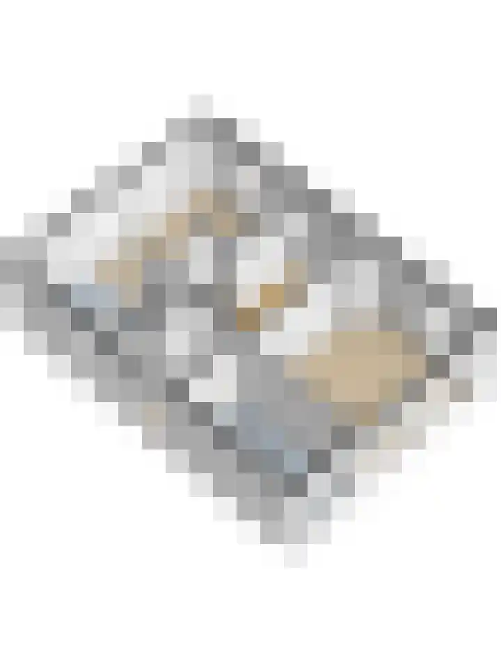 weg van Rollecate 23 Vollenhove thumbnail 51