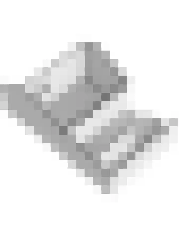 weg van Rollecate 23 Vollenhove thumbnail 55