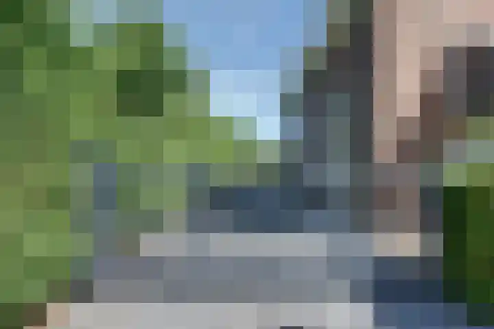 weg van Rollecate 23 Vollenhove thumbnail 6