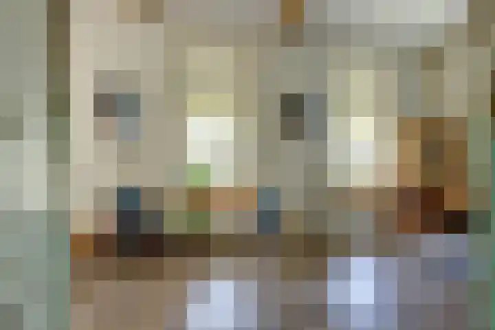 weg van Rollecate 23 Vollenhove thumbnail 7