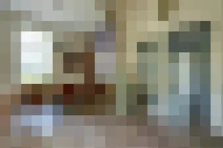 weg van Rollecate 23 Vollenhove thumbnail 8