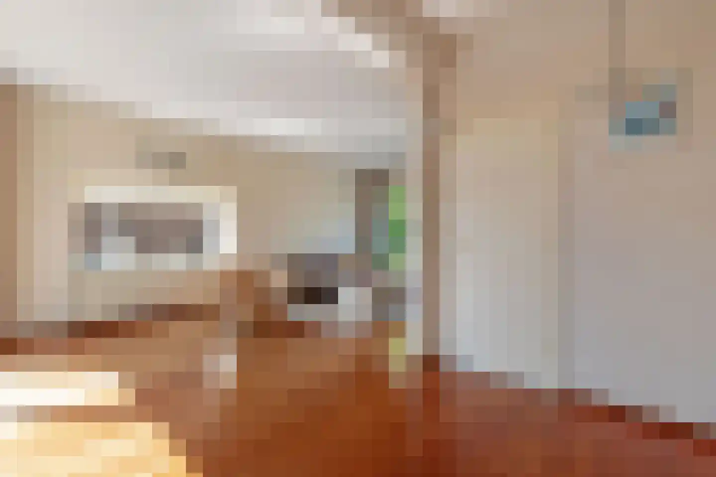 weg van Rollecate 40 Vollenhove thumbnail 15