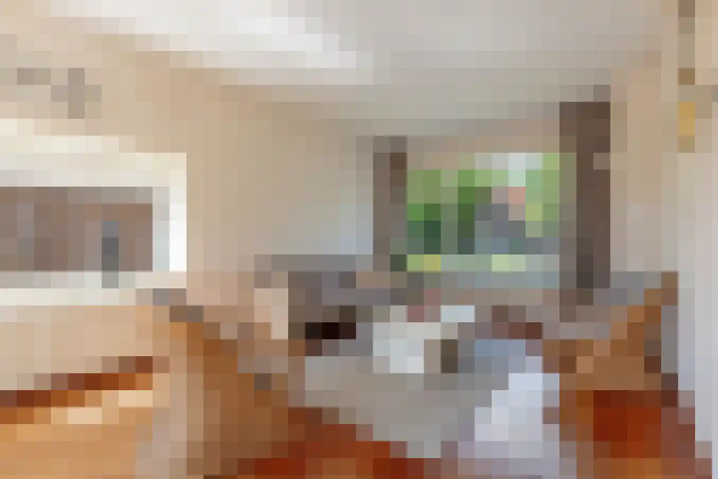 weg van Rollecate 40 Vollenhove thumbnail 16