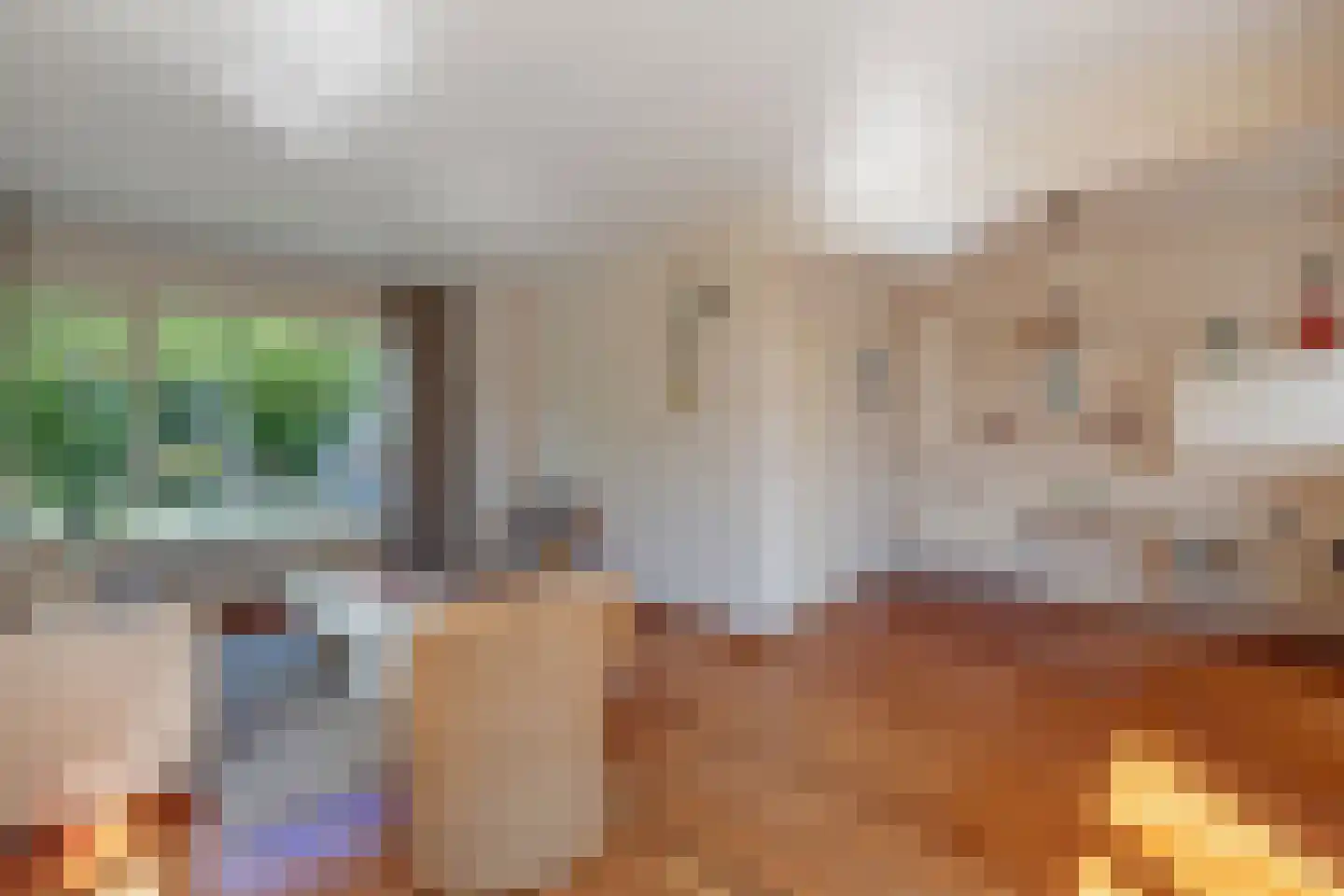 weg van Rollecate 40 Vollenhove thumbnail 18