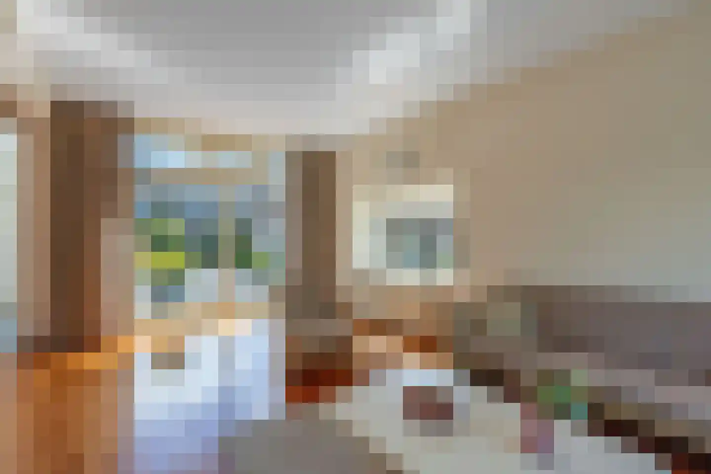 weg van Rollecate 40 Vollenhove thumbnail 19