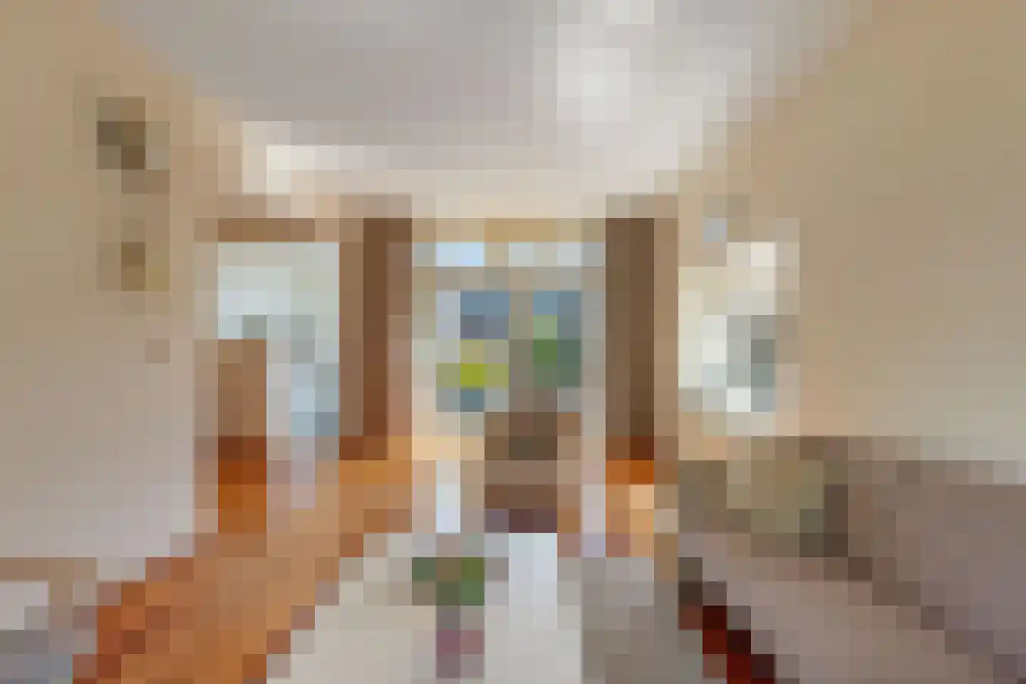 weg van Rollecate 40 Vollenhove thumbnail 20
