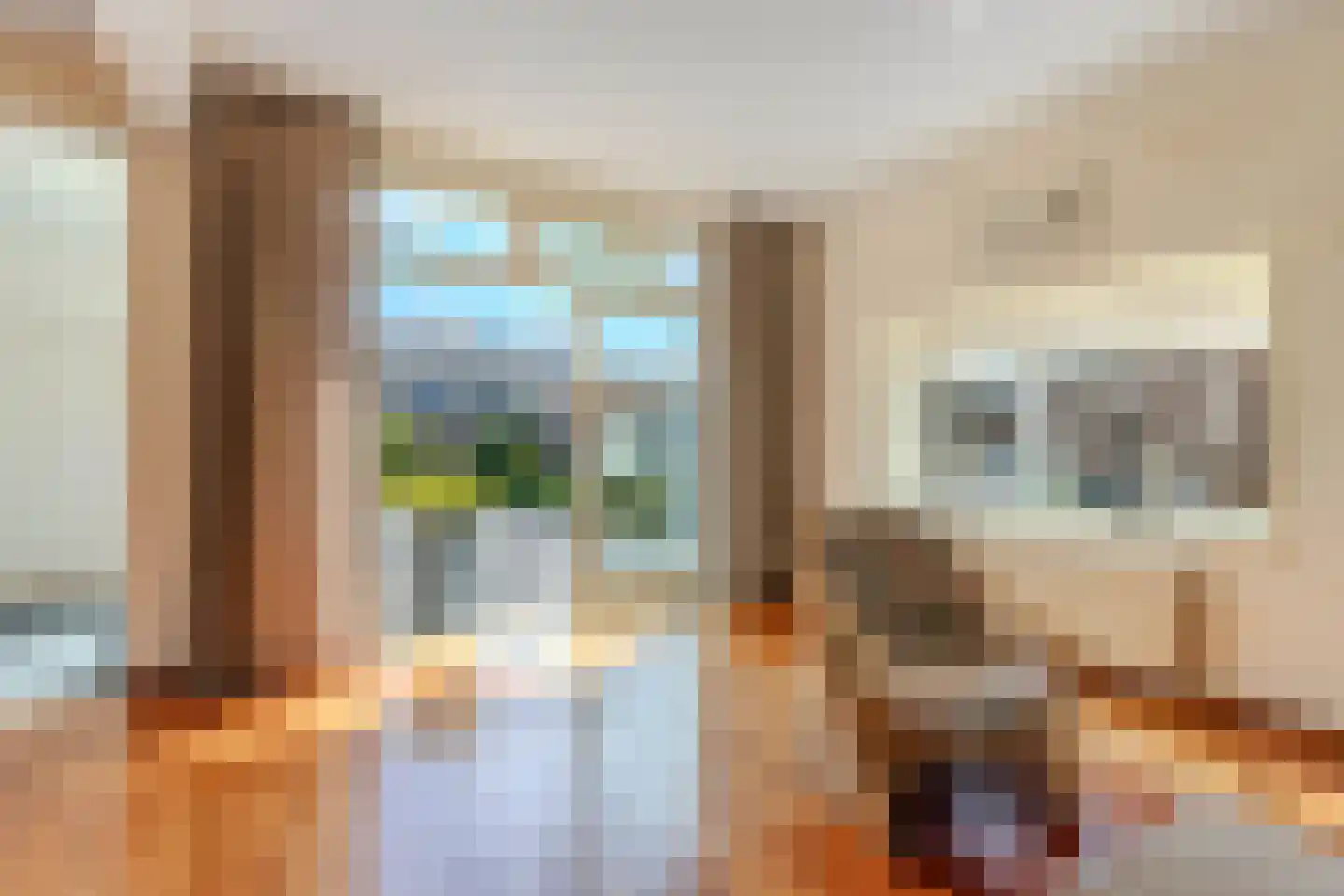 weg van Rollecate 40 Vollenhove thumbnail 22