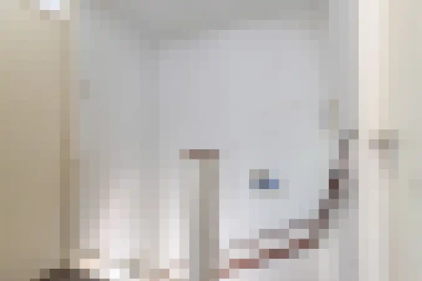 weg van Rollecate 40 Vollenhove thumbnail 30