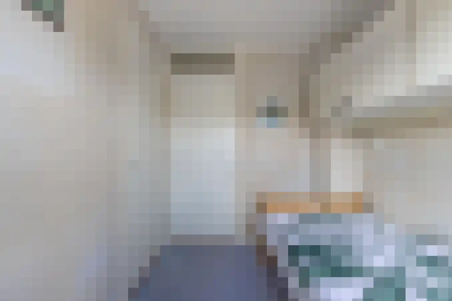 weg van Rollecate 40 Vollenhove thumbnail 35