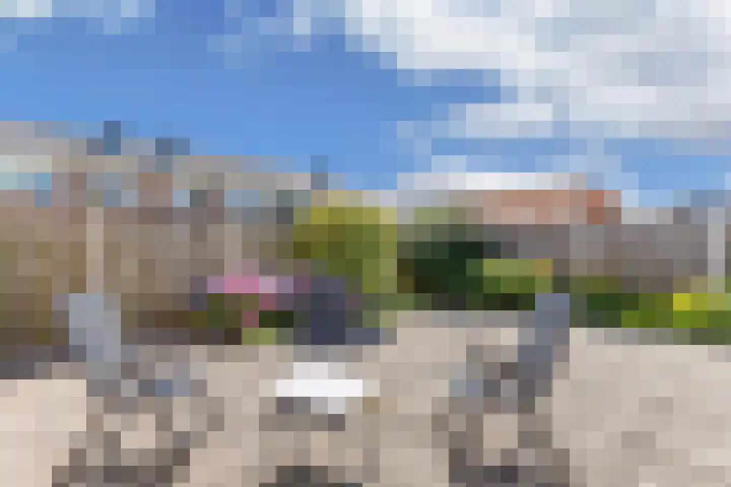 weg van Rollecate 40 Vollenhove thumbnail 44