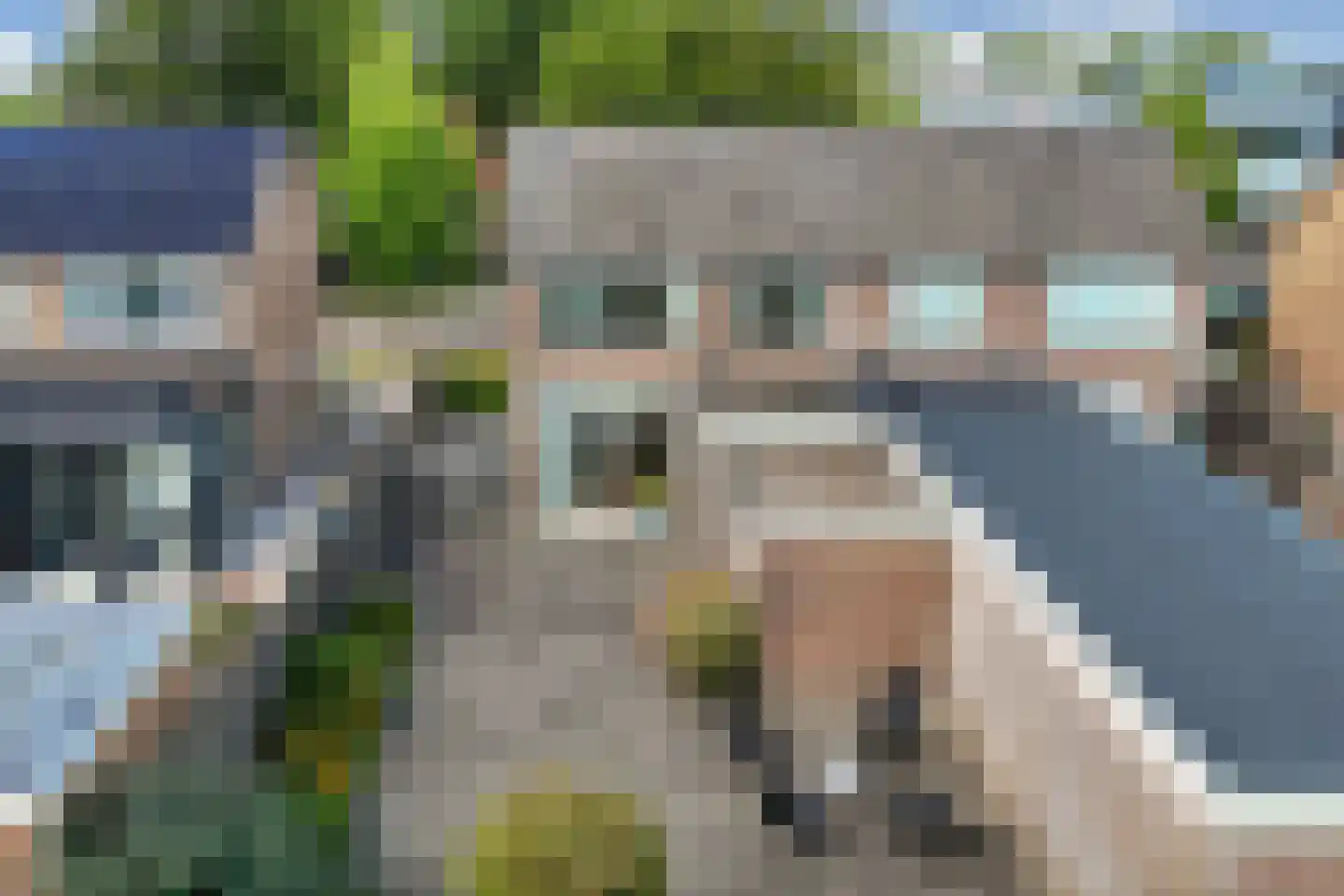 weg van Rollecate 40 Vollenhove thumbnail 47