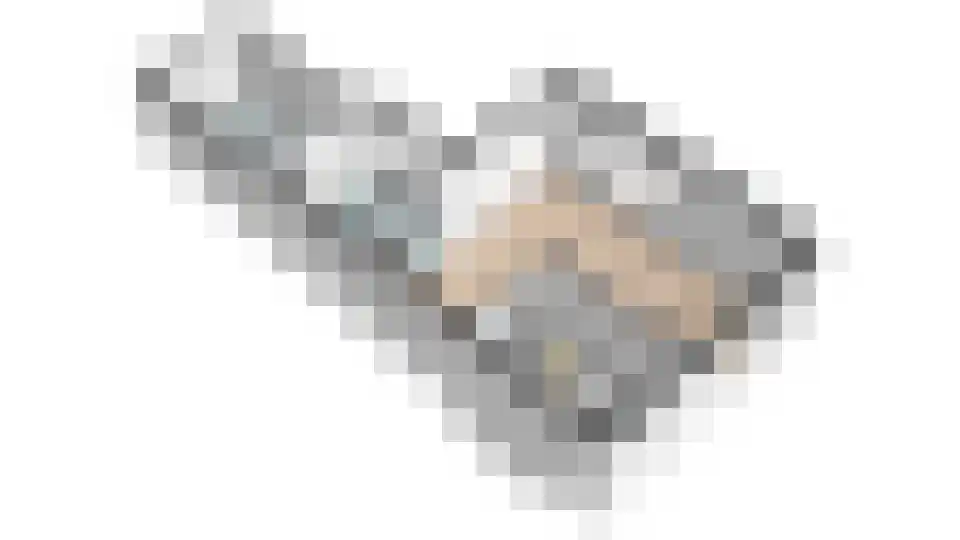 weg van Rollecate 40 Vollenhove thumbnail 50