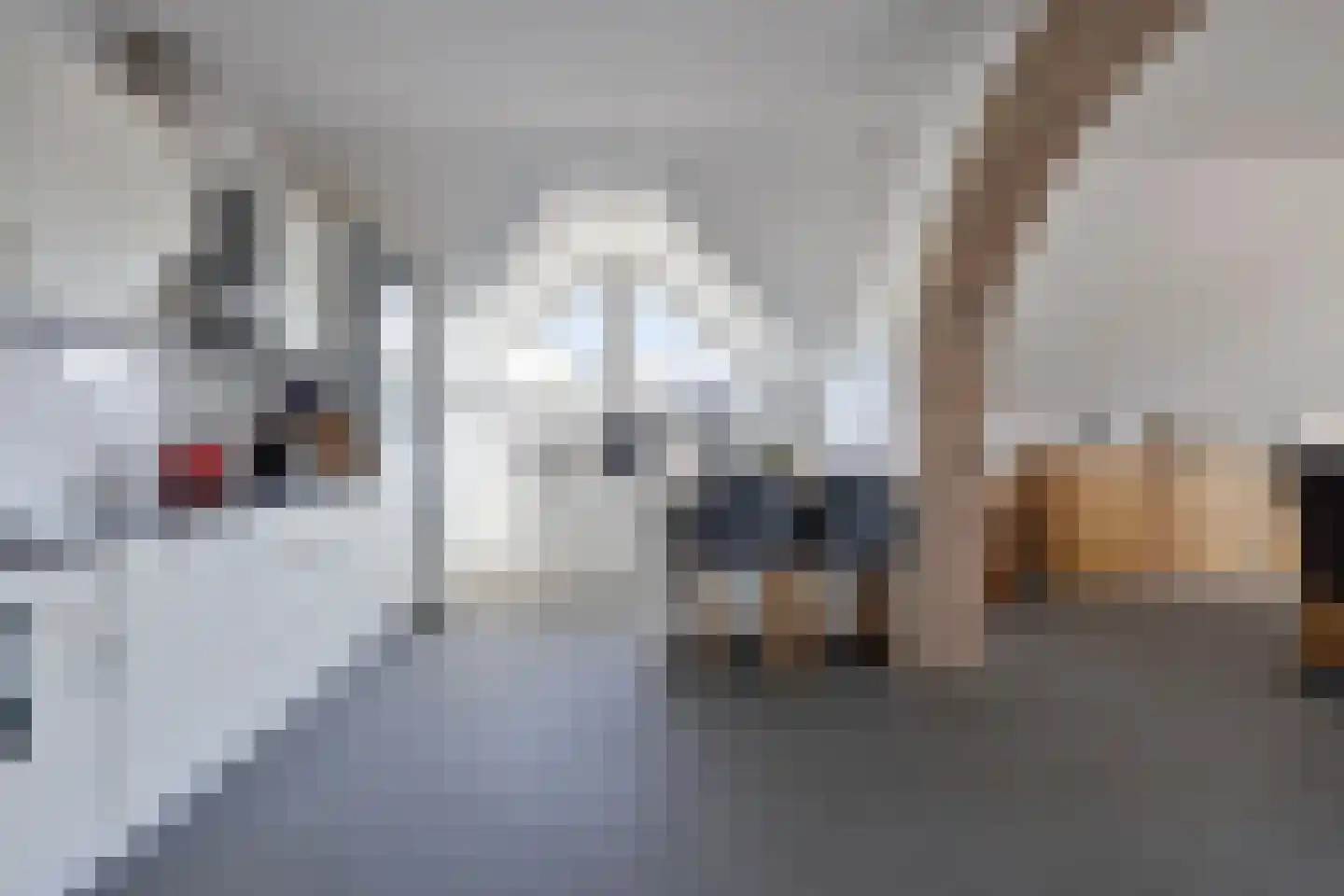 Weg van Sint Odiliënberg naar Waldfeucht 2 Posterholt thumbnail 5