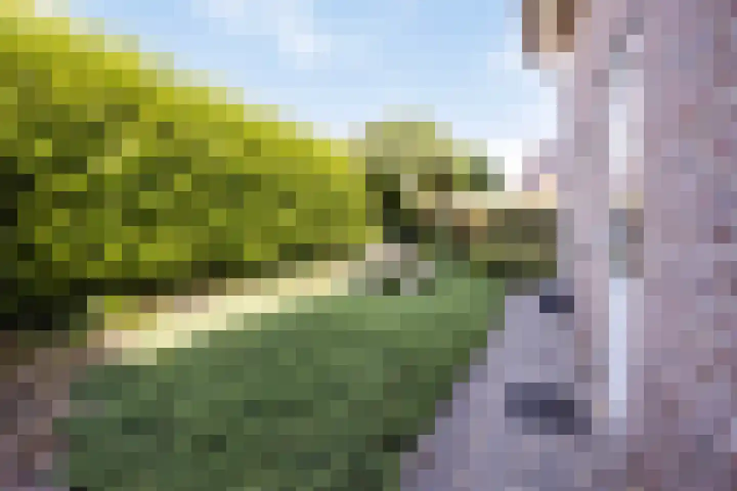 Weg van Sint Odiliënberg naar Waldfeucht 2 Posterholt thumbnail 58