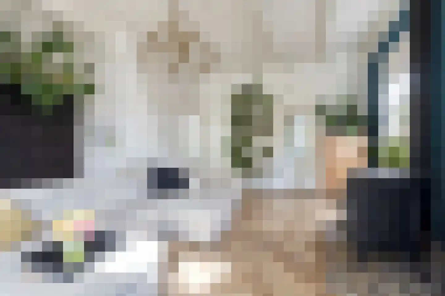 Weg van Twee Nijenhuizen 6 Vollenhove thumbnail 11
