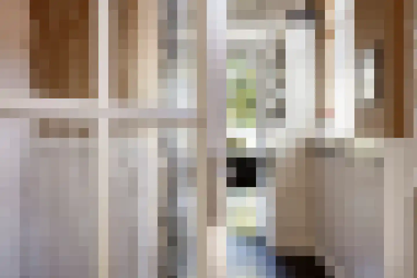 Weg van Twee Nijenhuizen 6 Vollenhove thumbnail 12