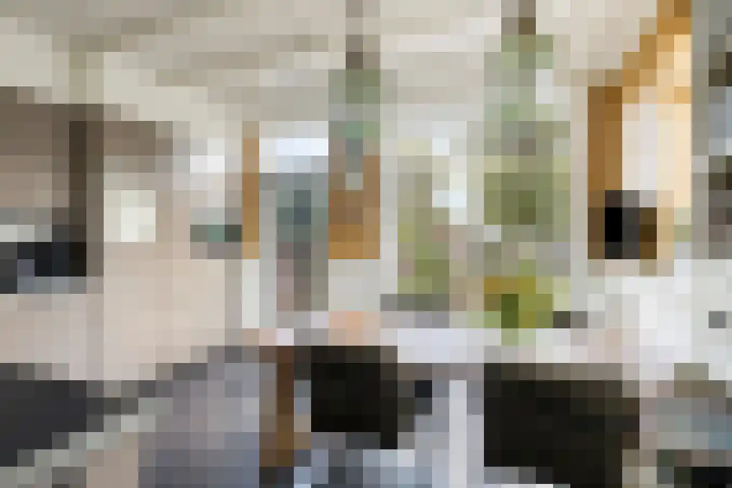 Weg van Twee Nijenhuizen 6 Vollenhove thumbnail 13