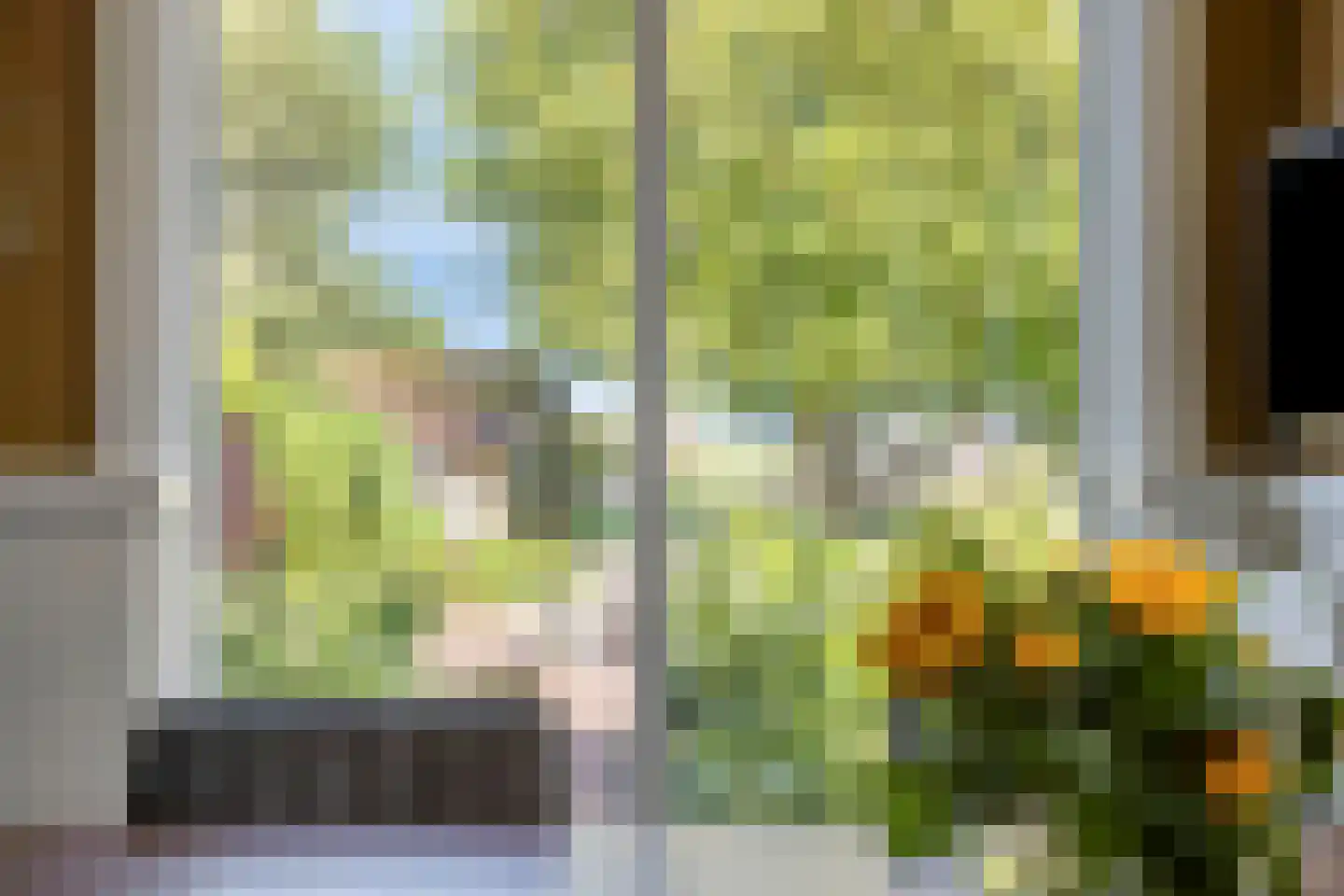 Weg van Twee Nijenhuizen 6 Vollenhove thumbnail 14