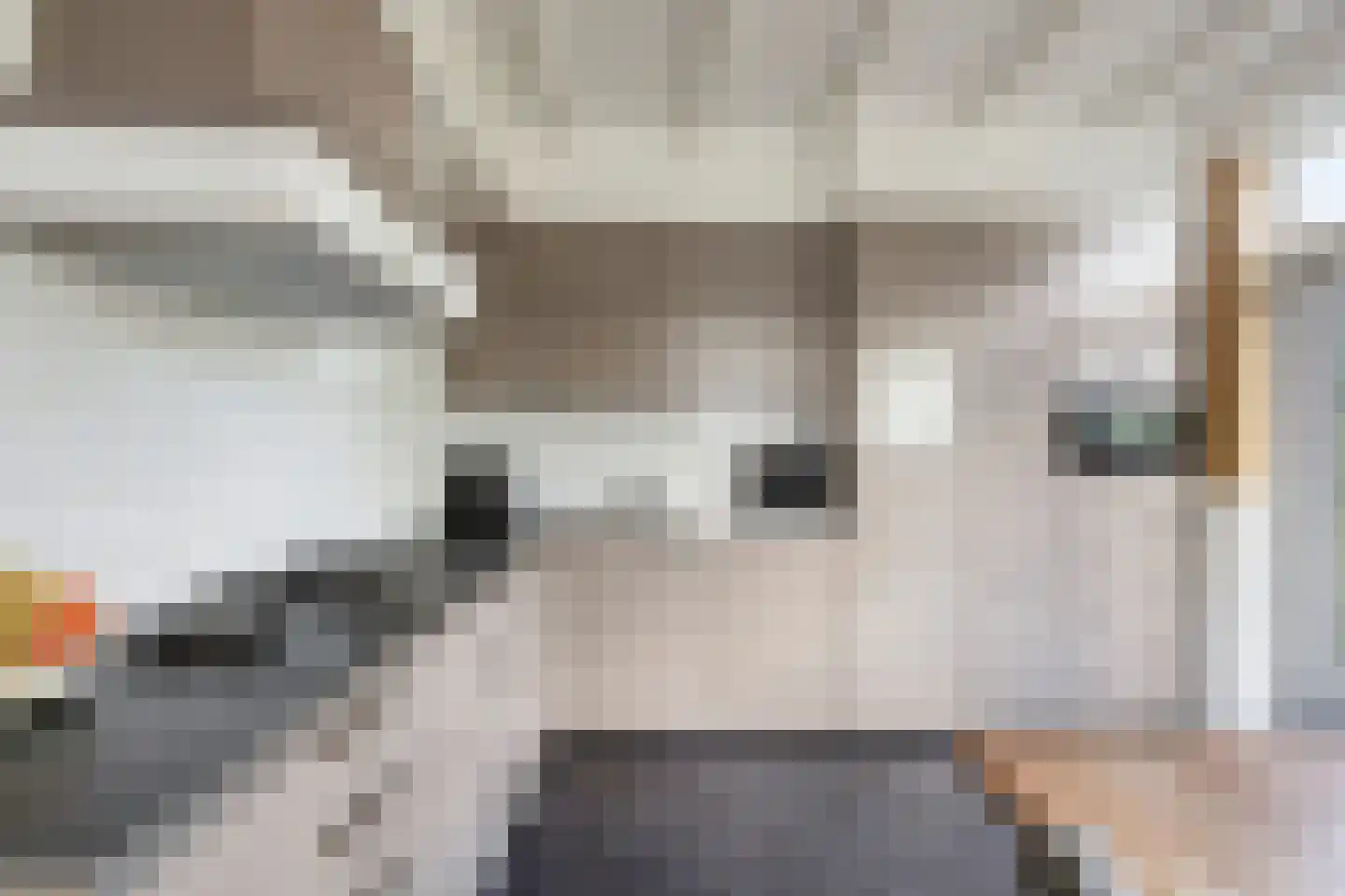 Weg van Twee Nijenhuizen 6 Vollenhove thumbnail 16