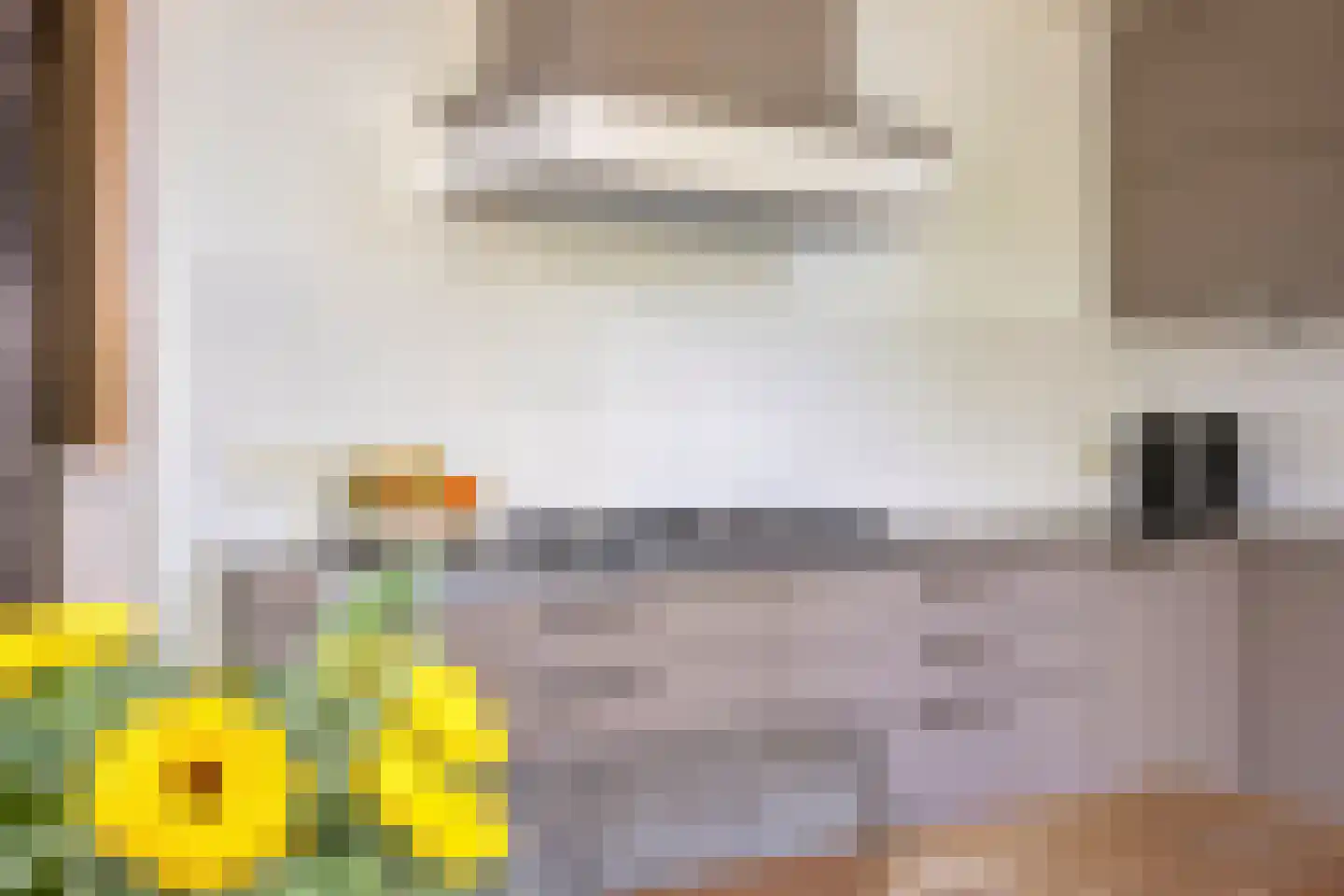 Weg van Twee Nijenhuizen 6 Vollenhove thumbnail 17