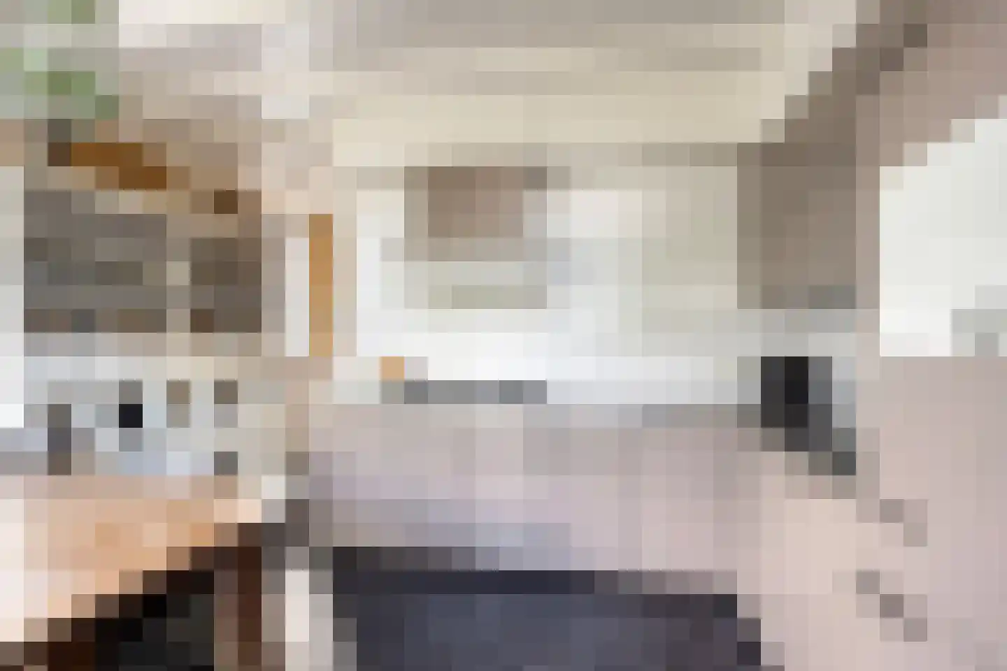 Weg van Twee Nijenhuizen 6 Vollenhove thumbnail 18