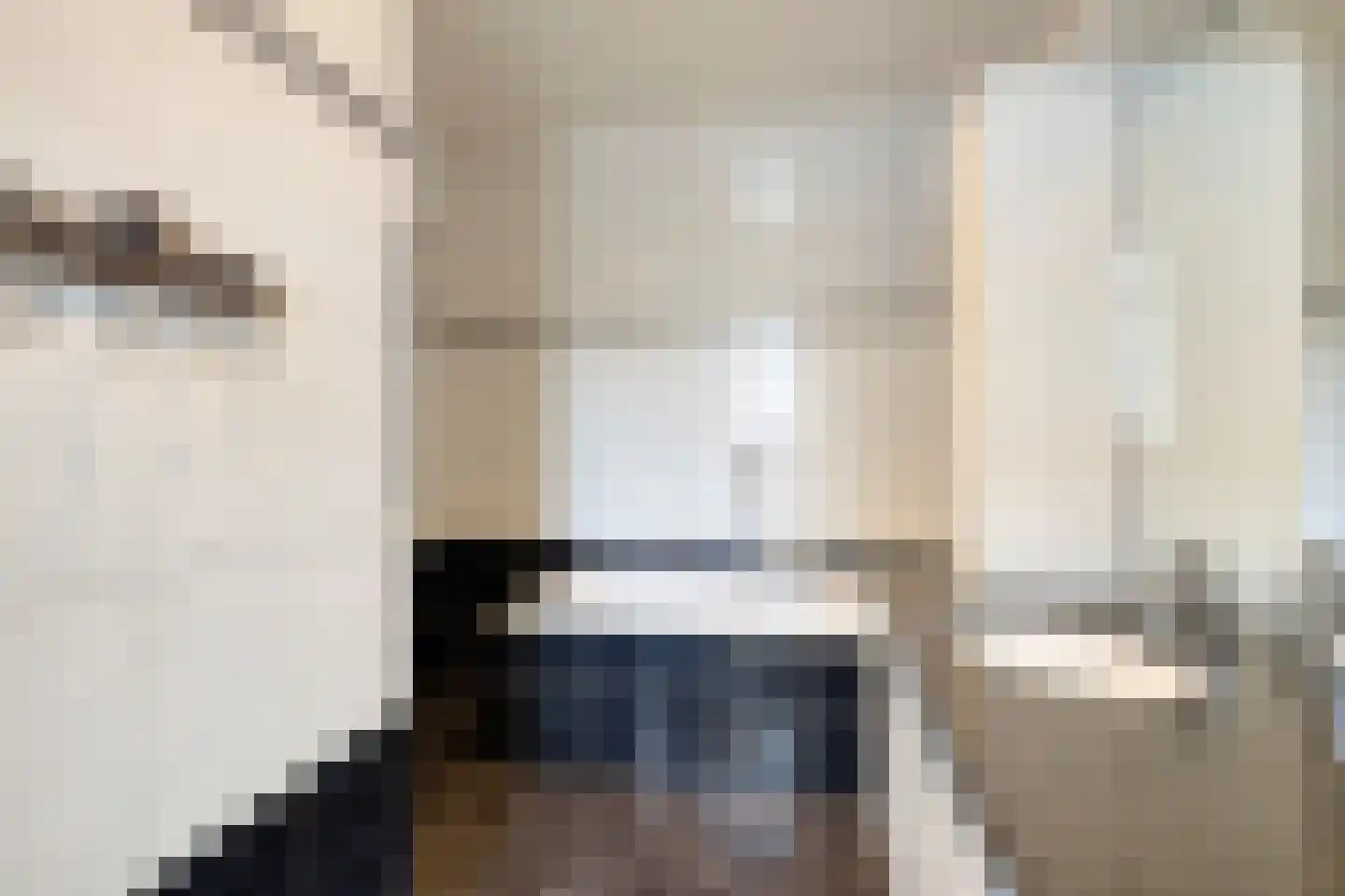 Weg van Twee Nijenhuizen 6 Vollenhove thumbnail 19