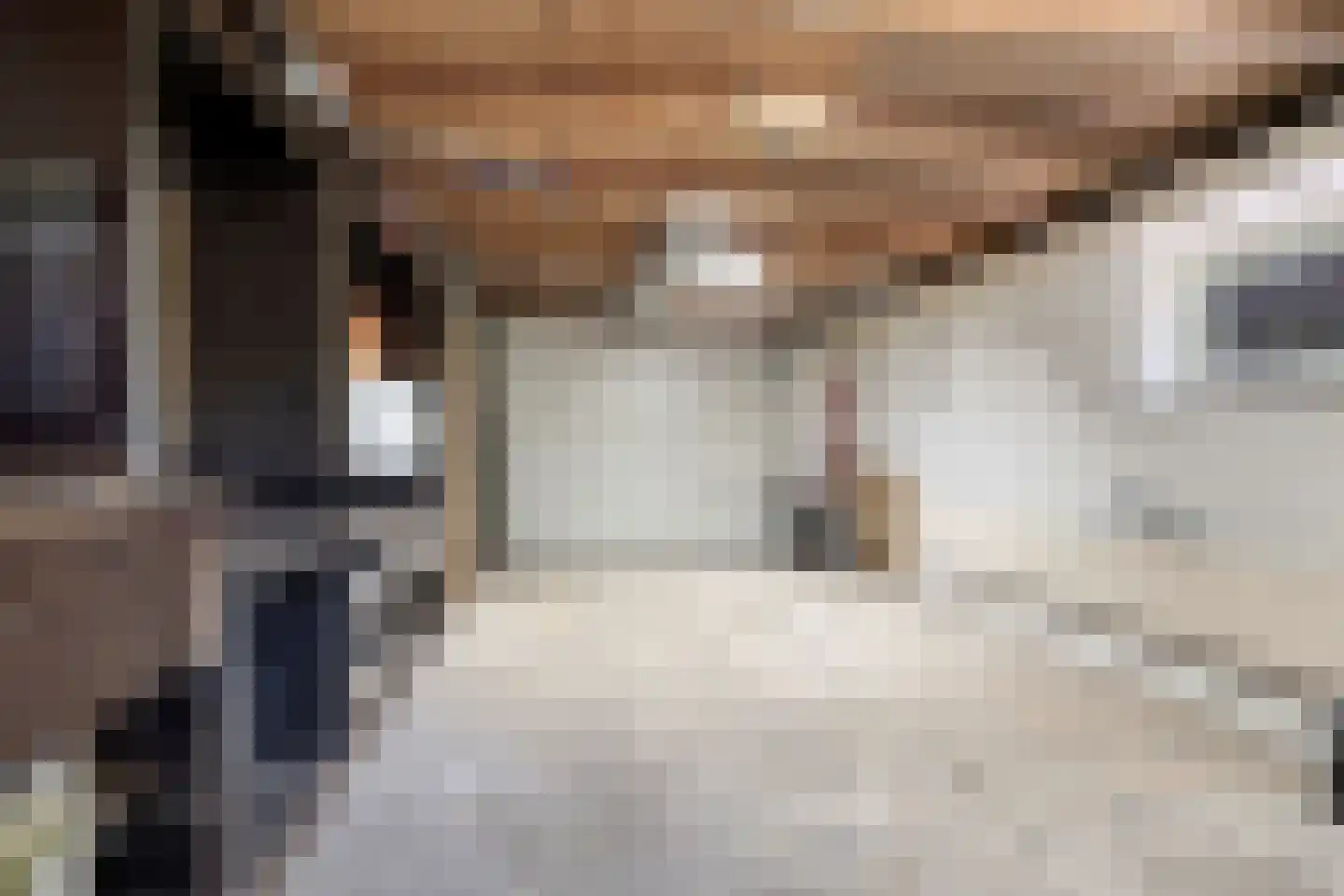 Weg van Twee Nijenhuizen 6 Vollenhove thumbnail 24