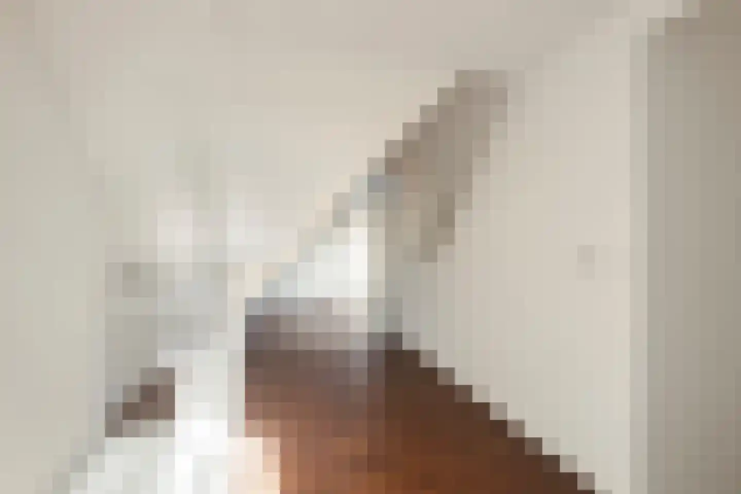 Weg van Twee Nijenhuizen 6 Vollenhove thumbnail 25