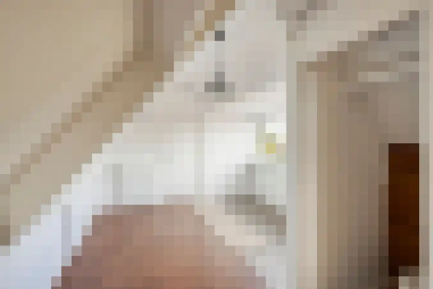 Weg van Twee Nijenhuizen 6 Vollenhove thumbnail 26
