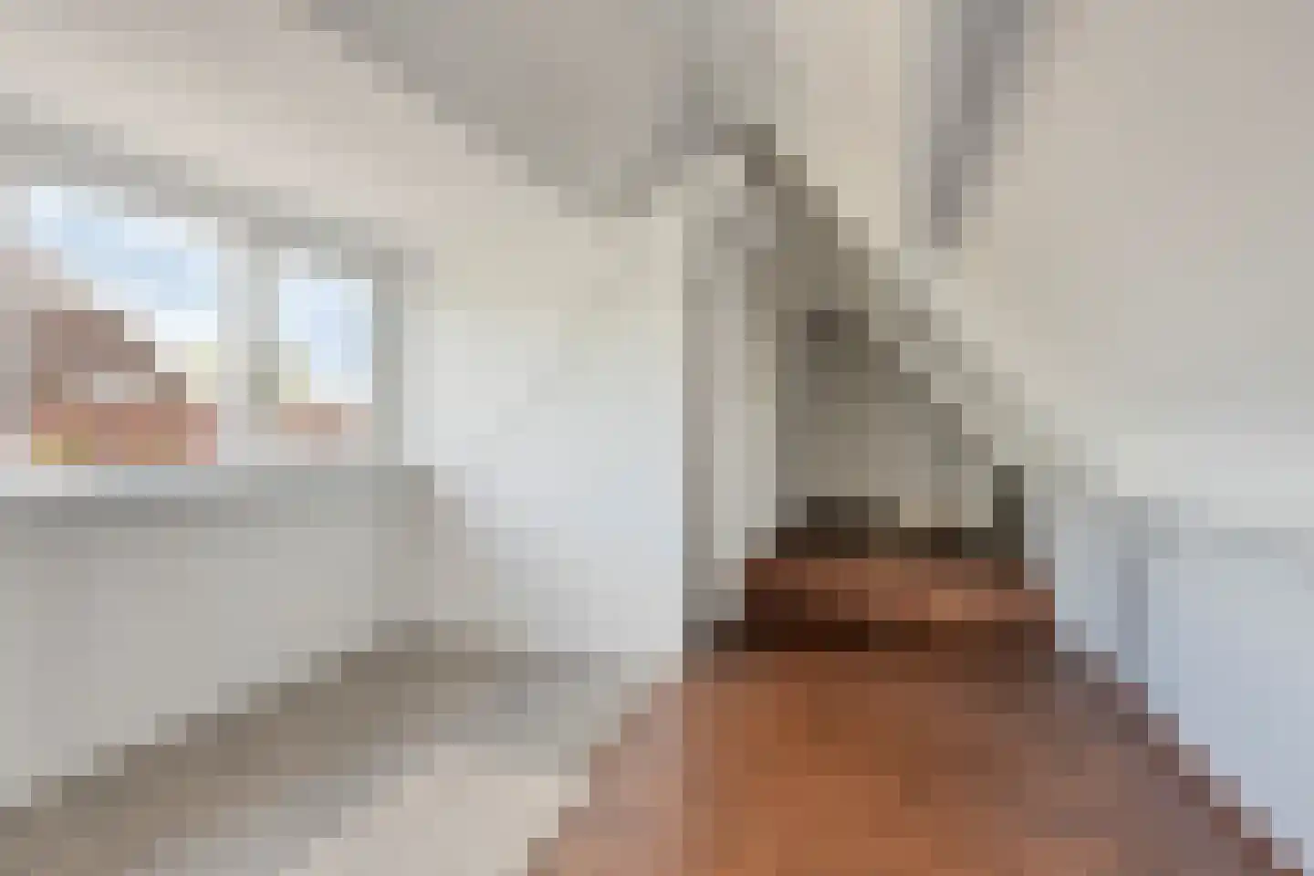 Weg van Twee Nijenhuizen 6 Vollenhove thumbnail 27