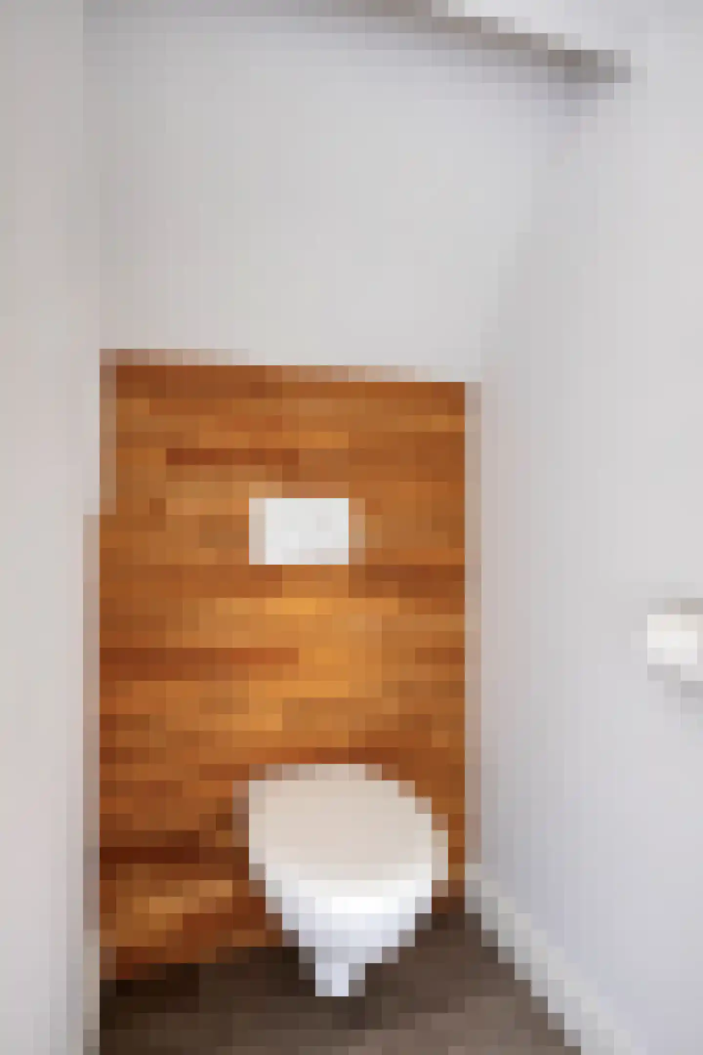 Weg van Twee Nijenhuizen 6 Vollenhove thumbnail 28