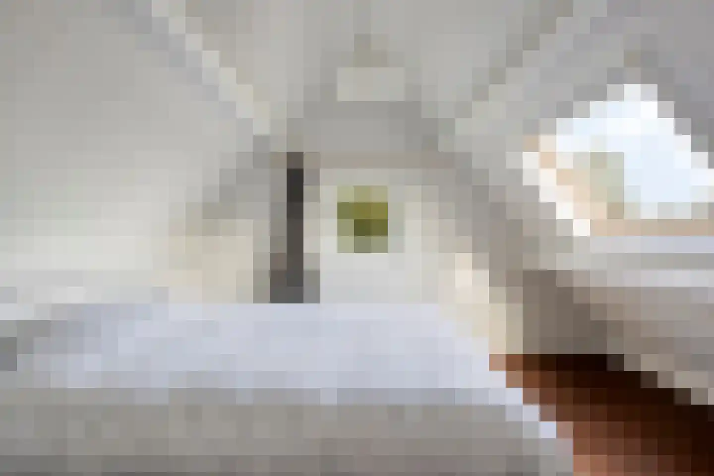 Weg van Twee Nijenhuizen 6 Vollenhove thumbnail 31