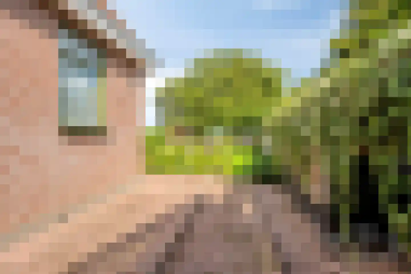 Weg van Twee Nijenhuizen 6 Vollenhove thumbnail 36