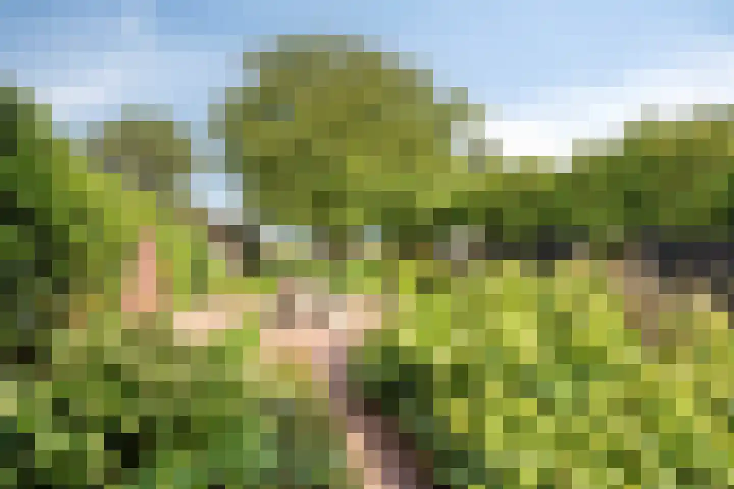 Weg van Twee Nijenhuizen 6 Vollenhove thumbnail 37