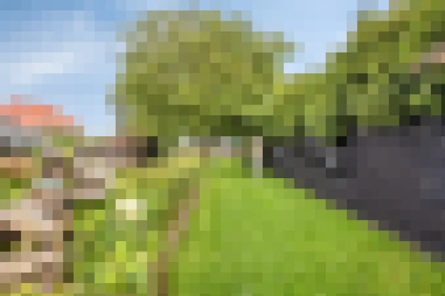 Weg van Twee Nijenhuizen 6 Vollenhove thumbnail 38