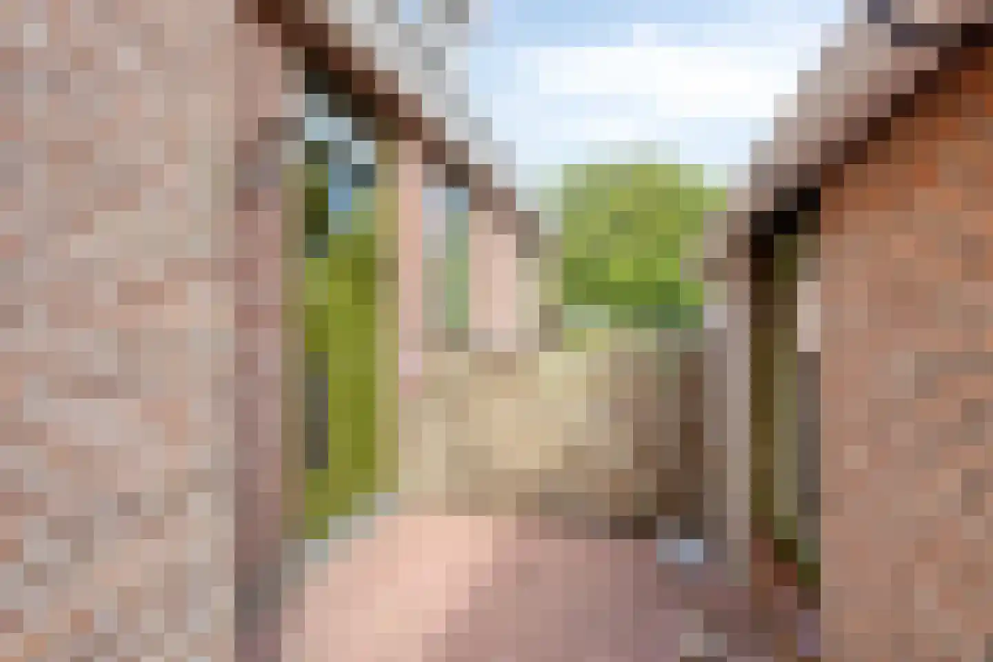 Weg van Twee Nijenhuizen 6 Vollenhove thumbnail 4