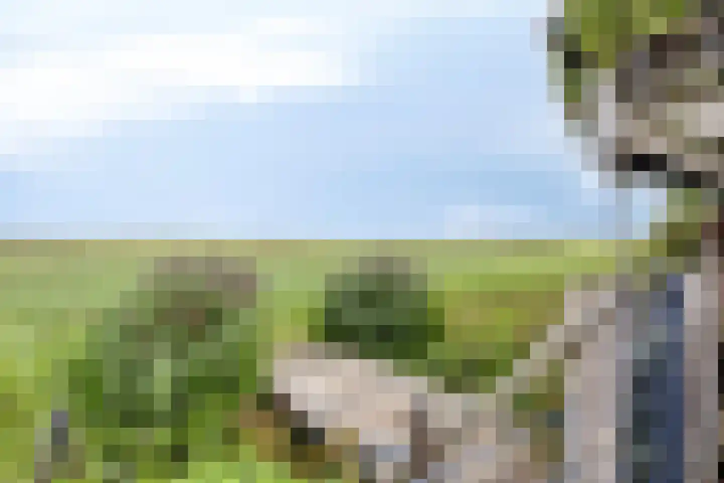 Weg van Twee Nijenhuizen 6 Vollenhove thumbnail 42