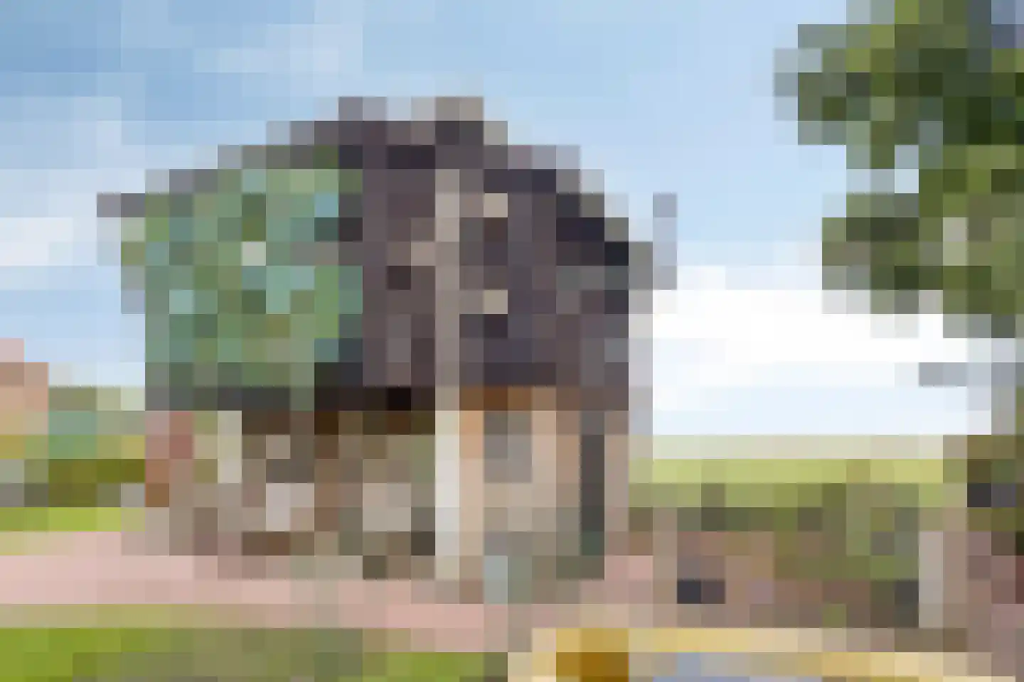 Weg van Twee Nijenhuizen 6 Vollenhove thumbnail 43