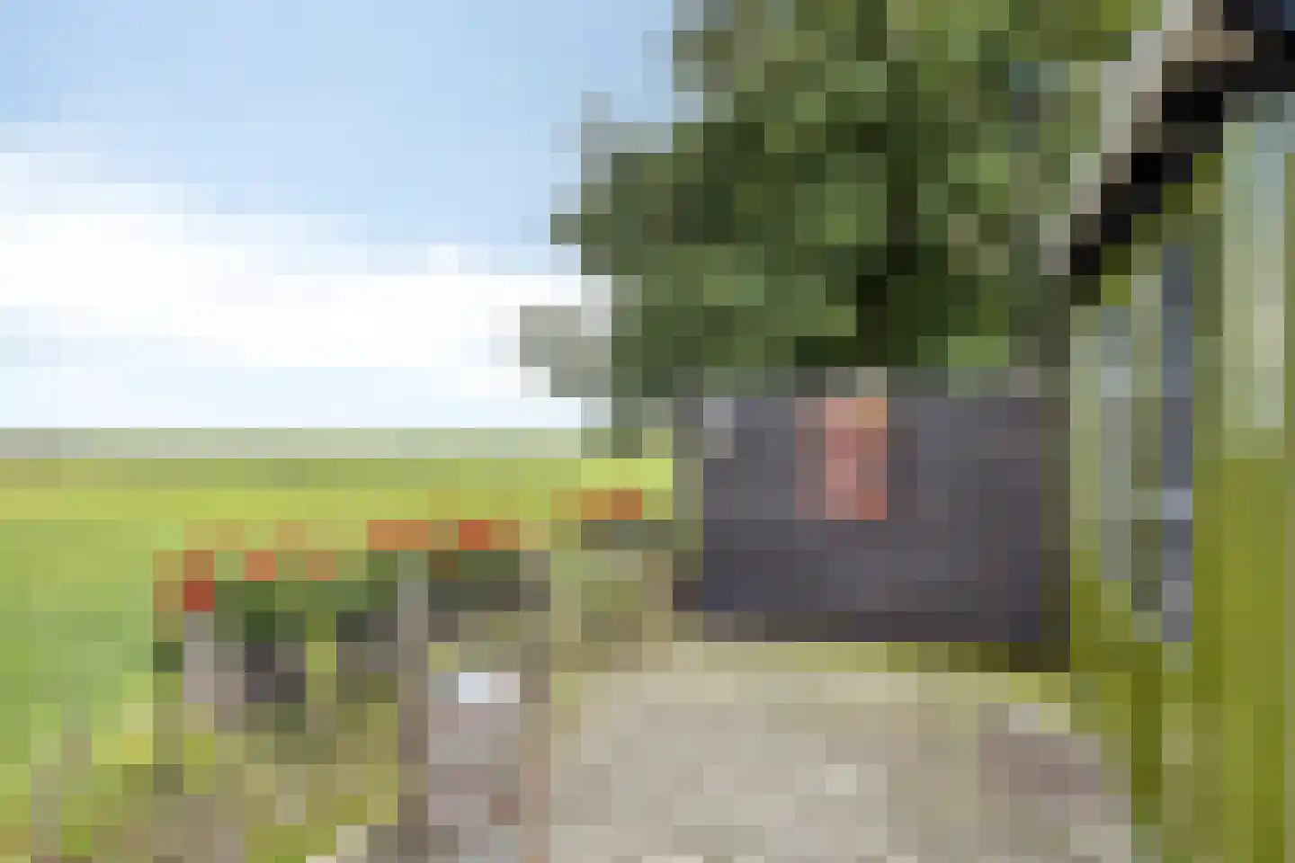 Weg van Twee Nijenhuizen 6 Vollenhove thumbnail 44