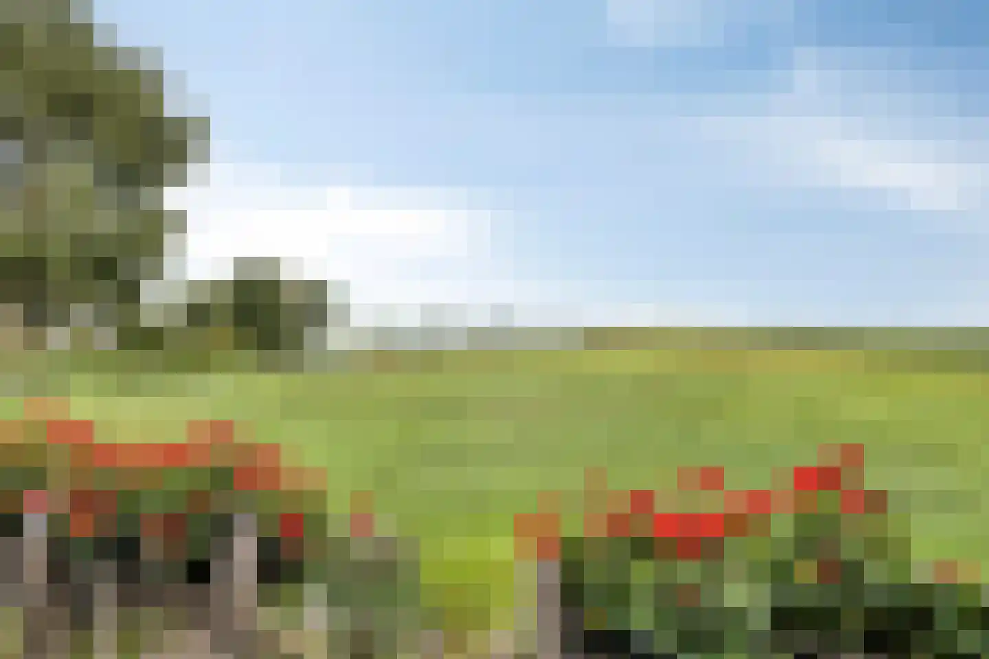 Weg van Twee Nijenhuizen 6 Vollenhove thumbnail 45