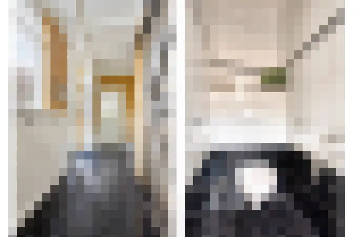 Weg van Twee Nijenhuizen 6 Vollenhove thumbnail 5