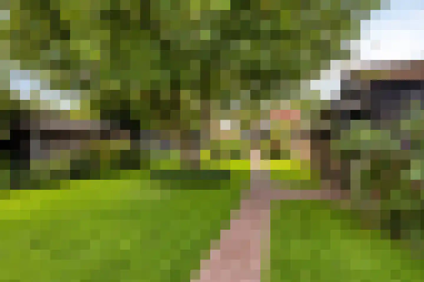 Weg van Twee Nijenhuizen 6 Vollenhove thumbnail 51