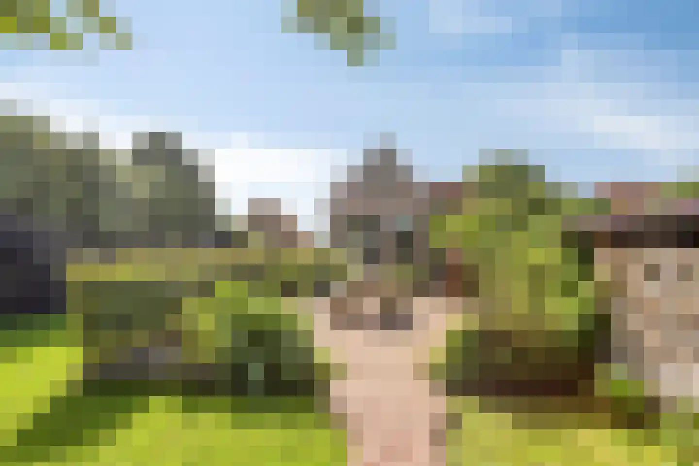 Weg van Twee Nijenhuizen 6 Vollenhove thumbnail 52